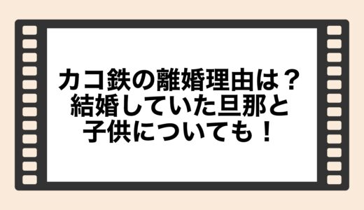 カコ鉄の離婚理由は？結婚していた旦那と子供についても！